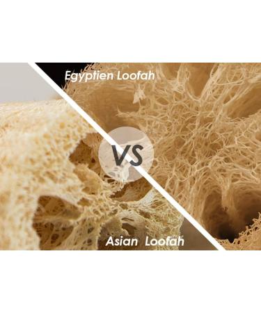 Luxurious Egyptian Organic Loofah Bath Sponge - 100% Natural SPA Beauty Scrubber - Buy Online on GoSupps.com