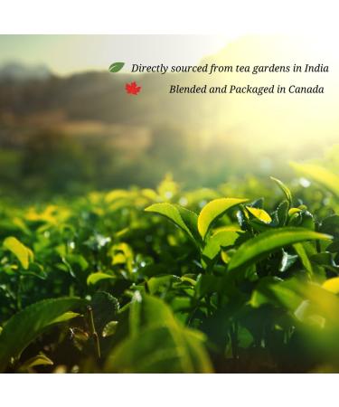 CJay Imperial Earl Grey Tea | Whole Leaf tea bags | 40 tea bags | Eco-conscious packaging | Non GMO Gluten Free | Premium black tea from India | Resealable Pouch 40 Whole leaf Tea bags Earl Grey - Buy Online on GoSupps.com