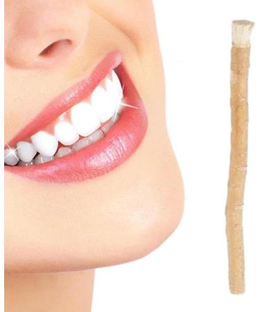 Nixieen Natural Chewing Stick Toothbrush Breath Freshener Miswak Reducing Bad Breath Teeth Brushing Stick Natural Ingredients Toothbrush Miswak Organic Miswak Toothbrush for Tooth Stain Removal - Buy Online on GoSupps.com