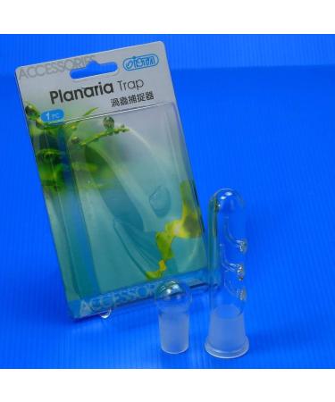 ISTA Clear Glass Planaria Trap for Cherry Shrimp Crystal Red Shrimp Dwarf Shrimp - Aquarium Supplies - Buy Online on GoSupps.com