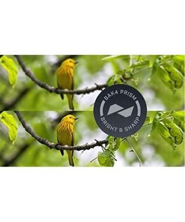Bushnell H2O 10x42mm Roof Prism Binoculars - Waterproof & Fogproof - Buy Online on GoSupps.com