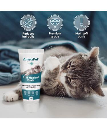 AmeizPet Hairball Remedy for Cats 100g - Anti-Hairball Malt Paste with Taurine for Long & Short Fur Cats - Buy Online on GoSupps.com