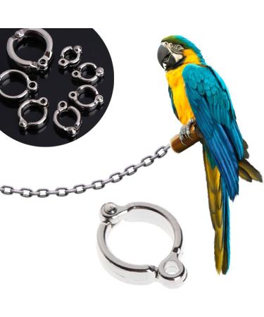 Christol Parrots Foot Ring - Durable Alloy Leg Rings with Metal Clips for Parrots & Pigeons | Outdoor Bird Accessories - Buy Online on GoSupps.com