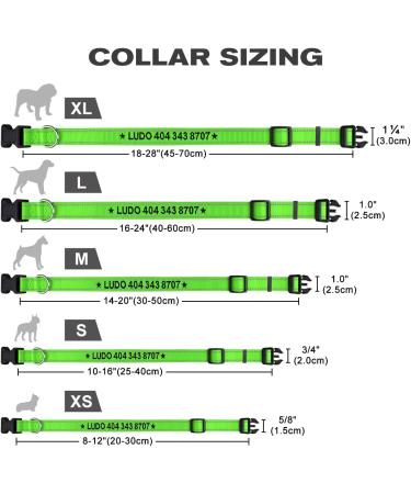 Tagme Personalized Dog Collar for Small Dogs - Embroidered Reflective Nylon with Pet Name & Phone Number - Green (1 Pack) - Buy Online on GoSupps.com