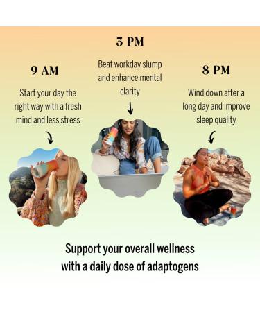 Moment Botanical Drink - Featured on Shark Tank | STILL Combo Variety with Adaptogens, Nootropics, L-Theanine, and Ashwagandha for Focus & Stress Relief | 0 Added Sugar, 0 Caffeine, Keto Friendly, Low Calorie | 11.5 Fl Oz 12-Pack - Buy Online on GoSupps.com