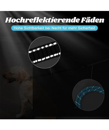 Buy Aystkniet Bungee Tow Leash for Dogs Shock-Absorbing Padded Handle Lockable Hook 3m 5m 10m 15m 20m 30m Ideal for Medium & Large Dogs Blue - Buy Online on GoSupps.com