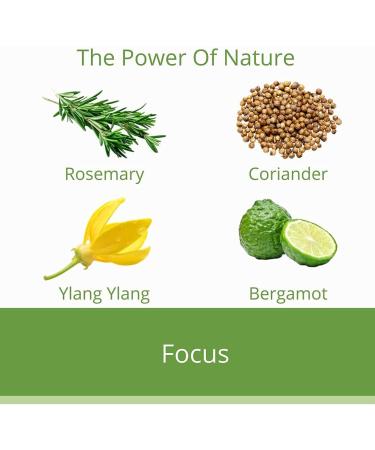 Focus Essential Oil Roll-On | Therapeutic Aromatic Blend for Concentration & Clarity (10ml) - International Shipping Available - Buy Online on GoSupps.com