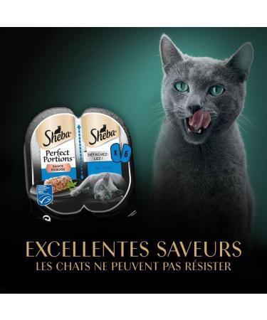 Sheba Ideal Portions Containers Wet Food for Adult Cats Exquisite Tuna Sauce - 3 x (2x37.5 g) 225 g - Pack of 8 - Buy Online on GoSupps.com