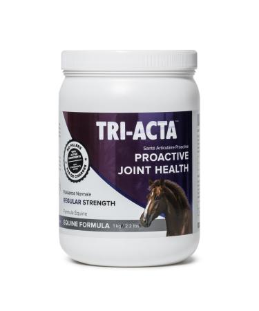 Integricare - Tri-Acta Equine Formula All-Natural Horse Joint Supplement with Glucosamine Chondroitin and Msm for Horses 1kg