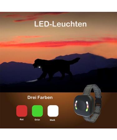 New Classic Dog Collars | Breathable Waterproof & Easy to Handle for All Dog Sizes | International Shipping Available - Buy Online on GoSupps.com