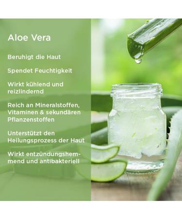 Timeless Beauty Secrets Lip Balm Niltal Saffron - Buy Online on GoSupps.com