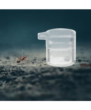 PATKAW Pet Water Feeder Ants Waterer for Garden Ants Feed Bowl Ants Drinking Container Ants Water Feeder Ants Waterer Cup Insect Water Bowl Clear Ants Feeder Mini Drinking Cup Acrylic - Buy Online on GoSupps.com