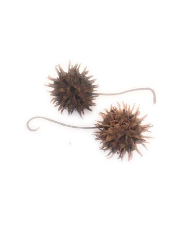 Buy Hand-Picked Generic Witch Burrs & Spanish Moss - Quality International Shipping - Buy Online on GoSupps.com