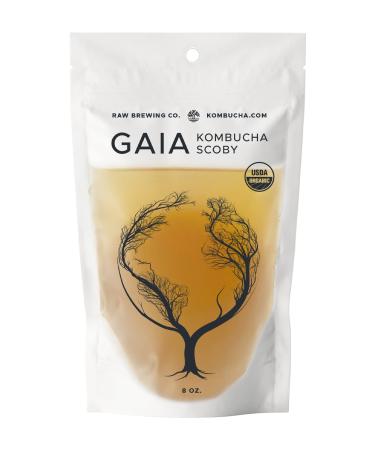 Kombucha.com Certified Organic Kombucha Scoby (Gaia) SHIPPED DIRECT FROM BREWERY for best results! With SUPER STRONG starter liquid. 8 oz. Makes 1/2 or 1 Gallon. Includes FREE Kombucha.com Organic Mixed Tea Blend Sample.