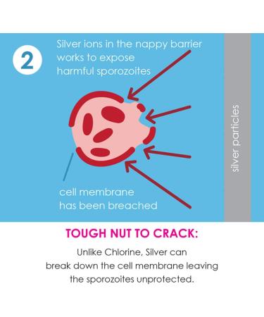 Splash About Happy Nappy Duo 3-6 Months Tug Boats - Top Quality Swim Diaper - Buy Online on GoSupps.com