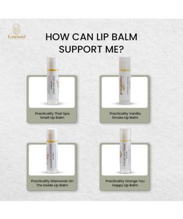 Practicality Skincare Diamonds On The Inside Lip Balm | Tallow for Sensitive & Dry Lips | .14 FL OZ | 1 Pc - Buy Online on GoSupps.com