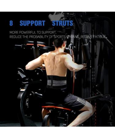 Dinoka Back Support Belt for Men & Women - Adjustable Lumbar Pain Relief & Waist Trimmer - Double Lock Design for Maximum Comfort - Buy Online on GoSupps.com