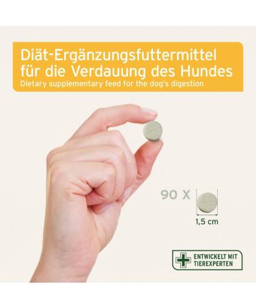 AniForte Stomach & Intestines Dog Tablets 90 Pieces for Acute Diarrhea & Gastrointestinal Health | Prebiotics for Intestinal Flora - Buy Online on GoSupps.com