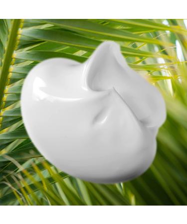 TruePure Argan Oil Conditioner - Deep Treatment for Dry, Damaged Hair - 8 oz. - Sulfate & Paraben Free - Made in USA - Buy Online on GoSupps.com