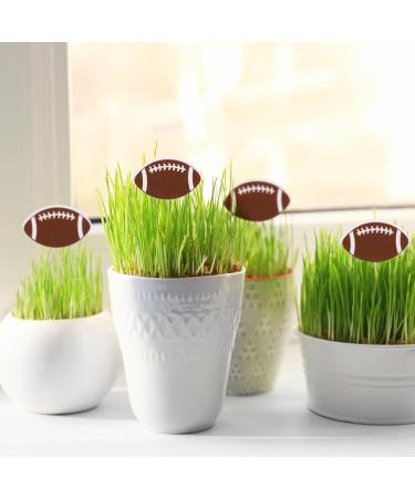 Abeillo 48Pcs Cupcake Toppers Birthday Party Cake Toppers Happy Birthday Cake Decorations American Football Birthday Cupcake Food Picks for Kids - Buy Online on GoSupps.com