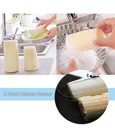 SmarTopus 5-Pack Premium Natural Loofah Sponges - Exfoliating Body Scrubber for Bath, Spa, Shower - Kitchen, Bathroom Dishes - Eco-Friendly - Buy Online on GoSupps.com