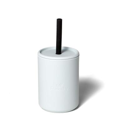 Avanchy Mini Silicone Cup Bamboo Baby Plate & Spoon Set - Gray - Buy Online on GoSupps.com