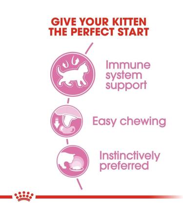 Royal Canin Kitten in JELLY Wet Adult Cat Food (24 x 85g) - Buy Online on GoSupps.com