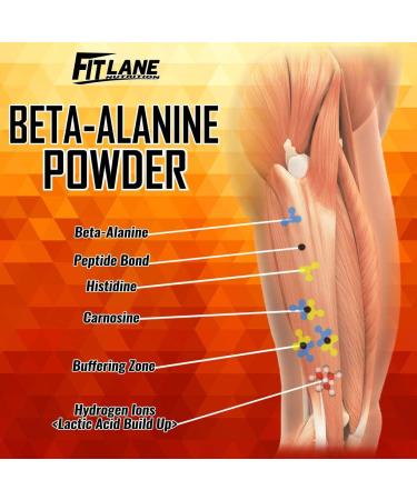 Fit Lane Nutrition Beta Alanine Powder 1000g (2.2 lbs) - 333 Servings, Unflavored Pre-Workout Supplement for Endurance - Value Size Bag - Buy Online on GoSupps.com