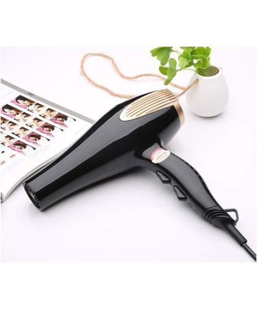 Hair Dryer Professional Ionic Hairdryer 2000W Salon Fast Blow Dryers 3 Heat 2 Speed Settings Low Noise Fast Drying Powerful AC Motor with Hair Nozzle for Home and Salon Men and Women Gold Small Gift - Buy Online on GoSupps.com