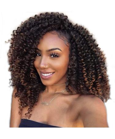 Lady Miranda Brown Color Afro kinky Curly Braiding Hair Extensions Jerry Curl Crochet Hair 3X Braid Hair Mixed Dark Brown to Light Brown Short Synthetic Hair Styles (Black&brown) 1B/30 10 Inch