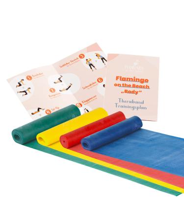 Original Therma band Set - 4 gymnastics bands for fitness exercises and physiotherapy - including training plan - 4er set 2.5m - green yellow red blue - flamingo on the beach
