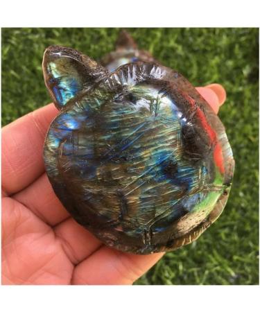 Choice of Gifts 1PCS Natural Labradorite Quartz Crystal Tortoise Skull Hand Carved Vibration Stone JZIGTDEM - Buy Online on GoSupps.com