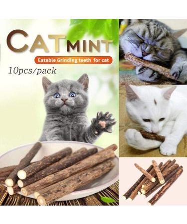 ZXCVWWE Pure Natural Pet Chew Toys - Molar Toothpaste Sticks & Cleaning Snacks for Dental Health | International Shipping - Buy Online on GoSupps.com
