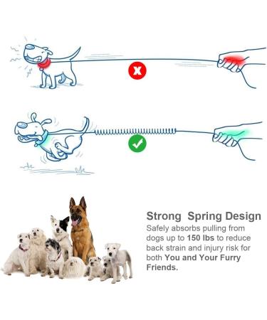 Philorn Super Elastic Freehand Dog Leash 120-170 cm with Belt Pocket - Jogging Leash for Large Dogs Up to 65 kg Reflective & Bungee Design - Perfect for Active Dog Owners - Buy Online on GoSupps.com