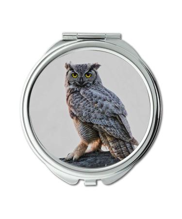 Mirror Compact Mirror owl theory EYE CONTACT awesome being able to photograph pocket mirror portable mirror