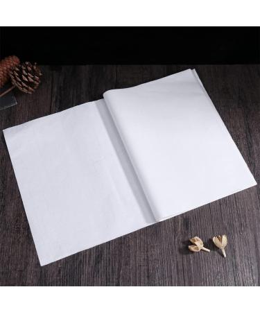 NUOBESTY 100 Sheets Rice Paper for Crafts Chinese Xuan Paper Craft Paper Writing Paper Japan 27c Advanced - Buy Online on GoSupps.com