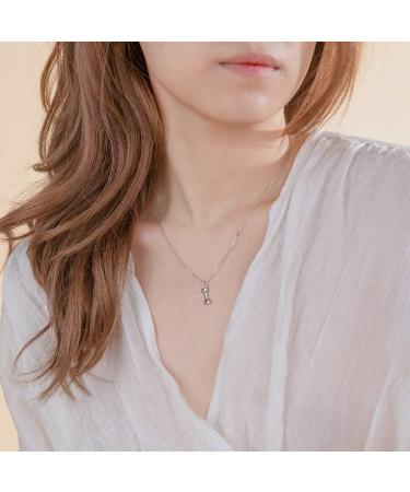 Dog Bone Necklace Personalised Engraved Pet Name & Birthstone for Women Girl - Sterling Silver Paw Print Charm Necklace Gift for Pet Lover - Buy Online on GoSupps.com