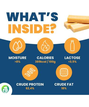 Natural Cheese Chewing Bones for Dogs - Durable XS 5-Pack | Tasty & Long-Lasting Chews - Buy Online on GoSupps.com