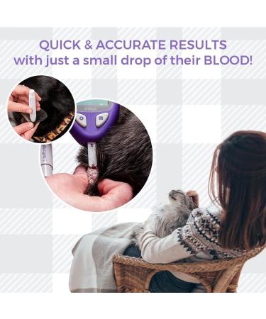 AETN Creations Alphatrak 3 Test Strips Pack of 50 Trusted Veterinary Approved Accurate and Easy-to-Use Pet Glucose Monitoring Strips for Cats and Dogs - Buy Online on GoSupps.com