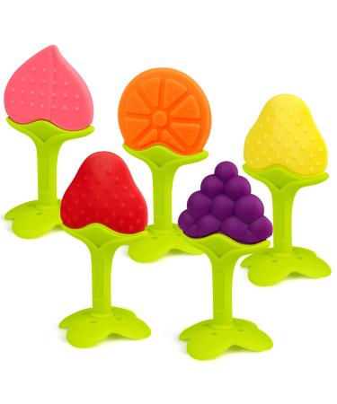 SHARE&CARE BPA Free Silicone Fruit Baby Teether Toys Baby Teething Toys with Storage Case for 3 Months Above Infant Sore Gums Pain Relief (5 Tree Fruits)