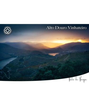 Oliveiras do C a Premium Extra Virgin Olive Oil (500ml - 16.9 fl oz) - Buy Online on GoSupps.com