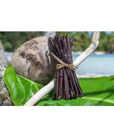 Vanille Bourbon de Madagascar - 20 Gousses - Grandes Taille 16cm - Avec Sachet Fraicheur refermable pour une conservervation optimale apres ouverture - Buy Online on GoSupps.com