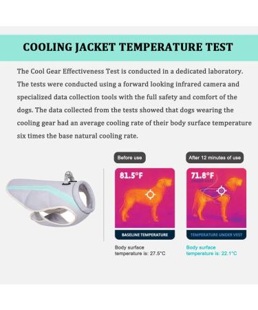 Shop Dog Cooling Vest - Breathable Mesh Jacket for All Dog Sizes | Adjustable & Reflective Stripes - Ideal for Outdoor Activities - Buy Online on GoSupps.com