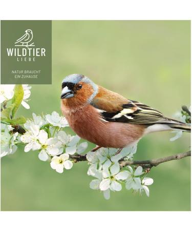 Premium Wild Bird Feed 5kg - Amsel Futter with Berries & Sunflower Seeds for Year-Round Feeding - Buy Online on GoSupps.com