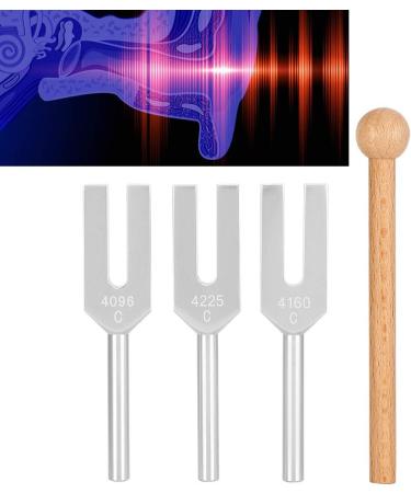 Tuning Fork 440Hz Tuning Fork Non-Deformation Music Tuning Accessories 3Pcs with 2Pcs Storage Bag for Teaching for Physics Experiments - Buy Online on GoSupps.com