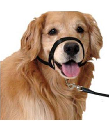 Universal Selected Harness Adjustable Muzzle Dog Halter Leader Belt Dog Collar Head Collar No Pull Bite Straps Training Leash Leader (Color : Purple Size : XL) - Buy Online on GoSupps.com
