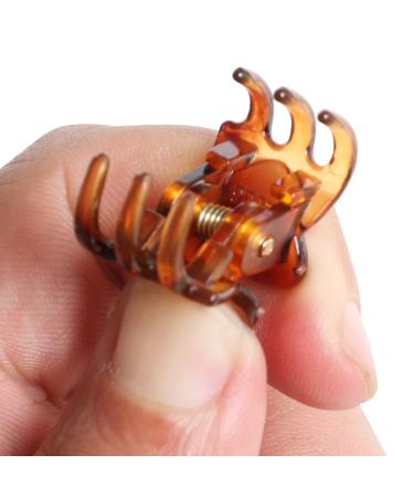 Buy TRIXES 12 Pieces Stylish Brown Mini Hair Clips - Hair Claws Pins & Clamps - International Shipping Available - Buy Online on GoSupps.com