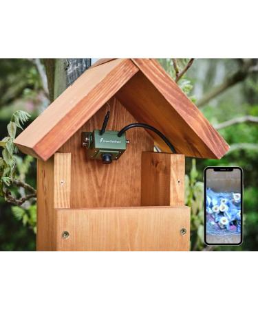Green Feathers HD WiFi Bird Box Camera 3rd Gen (1080p Wi-Fi Camera & 10m Power Cable) 1 Count (Pack of 1) - Buy Online on GoSupps.com