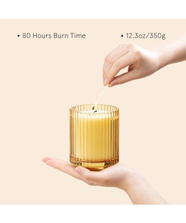 La Jolie Muse Sandalwood & Patchouli Scented Candle - Luxury Glass Jar Candle Gift for Home Decor - 80 Hours Long Burning - 12.3oz - Buy Online on GoSupps.com
