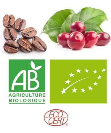 Organic Coffee Beans 100% Arabica 1 Kg Pack with Zip Nicaragua Jinotega Artisanally Roasted in France 100% Organic Farming Quality Coffee Satisfied or Refunded  - Buy Online on GoSupps.com